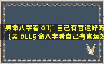 男命八字看 🦅 自己有官运好吗（男 🐧 命八字看自己有官运好吗婚姻如何）